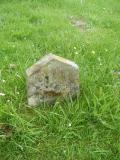 image of grave number 250718